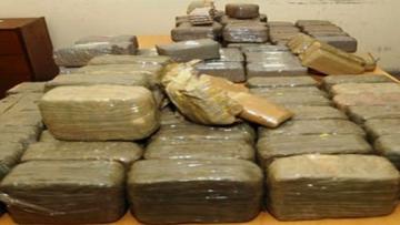 إحباط ترويج قنطار من القنب الهندي بوهران