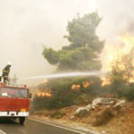 17 جريحا و111 حريق وخسائر في الانتاج والغطاء النباتي                                    سكان المدية بين حتمية إرهاب الطرقات ونيران الحرائق