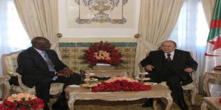 Convergence de vues entre l'Algérie et l'UE sur la situation au Sahel