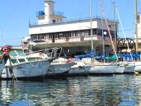 Signature d'un accord entre les centres de recherche algérien et Coréen de la pêche