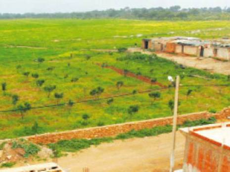 l'autogestion, la révolution agraire et la réforme de Benaïssa                                    50 années de politique foncière en Algérie