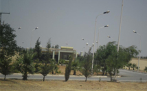 Traitement des déchets au CET de Tissemsilt : Une autre menace environnementale à l'horizon