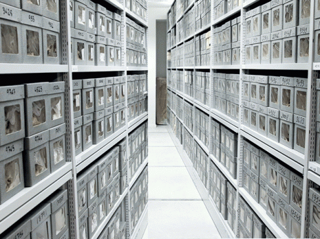 Les sans-papiers de l'au-delà