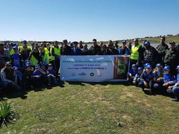 Tchin-lait Candia offre 2000 plants