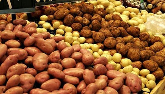 رئيس الغرفة الفلاحية لولاية الوادي