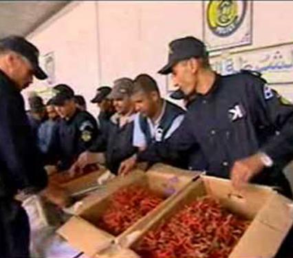 حجز قنطار من المرجان الملكي بسواحل الطارف                                    العملية شاركت فيها قوات الدرك وحرس السواحل