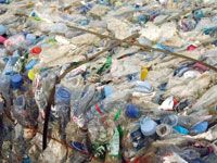 Collecte des ordures ménagères à BEjaIa                                    Beaucoup d'interrogations suite à un jugement 'infructueux