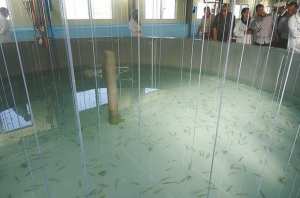 L'aquaculture pour combler le déficit de la pêche maritime