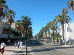 14 قائمة تتنافس على مقاعد البرلمان بسكيكدة