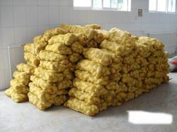 بطاطا الوادي لفرملة لهيب الأسعار