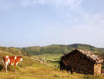 التهميش ينهش سكان «ذراع بني وقاد» في بني حميدان بقسنطينة                                    ينتظرون برامج تنموية طموحة