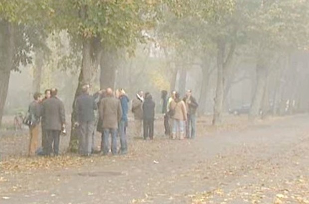 Mobilisation contre l'abattage de 1 000 arbres à Sétif
