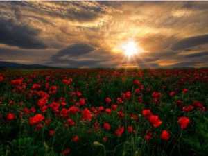 Thafsouth, retour aux sources