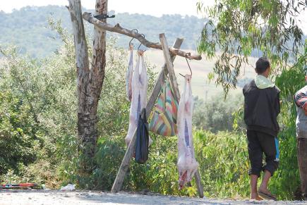 هدم 100 كوخ قصديري بمنطقة حي عباس في قسنطينة