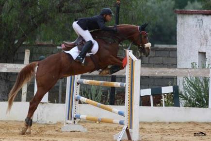 الجائزة الكبرى للفروسية تنطلق اليوم بسيدي بلعباس