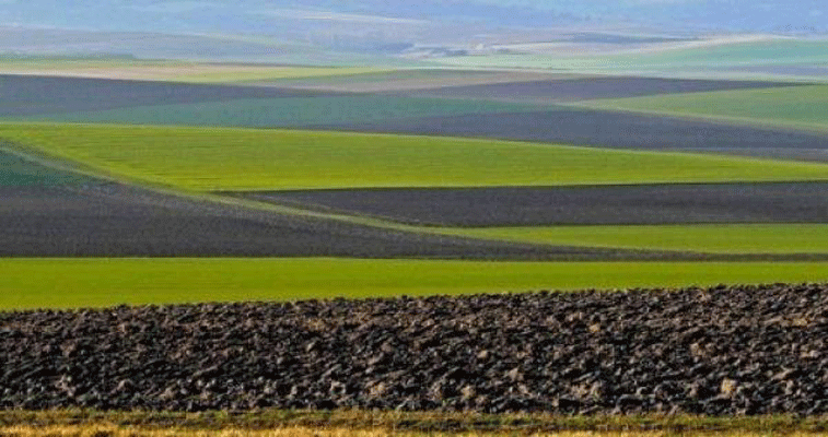 والي قسنطينة أكد بأن كل بناية مخالفة تعد فوضوية