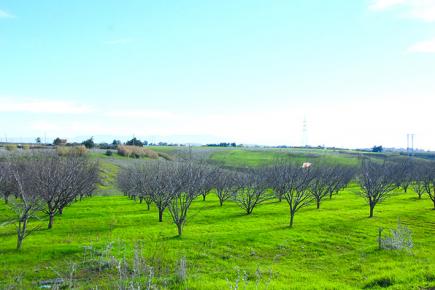 فلاحو ميلة يطالبون بتخفيض فاتورة الكهرباء الريفية
