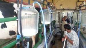 تمويل أزيد من 2300 مشروع فلاحي مصغر بتيزي وزو