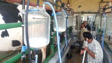 تمويل أزيد من 2300 مشروع فلاحي مصغر بتيزي وزو