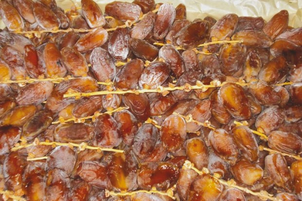 Une délégation d'hommes d'affaires français en visite à El-Oued