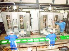 Un créneau en constante progression                                    Ghardaïa, Filière lait