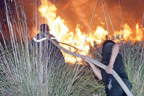 إنقاذ‮ ‬عشرات ‬العائلات‮ ‬من ‬النيران ‬في ‬تلمسان ‬