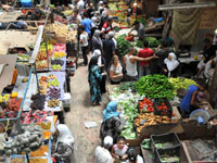 دوقمان عكاشة مدير التجارة بالولاية يؤكد: تجنيد 40 فرقة و80 عون مراقبة لقمع الغش خلال شهر رمضان بتيزي وزو