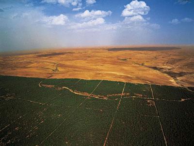 Barrage vert : projet agro-écologique précurseur de la lutte contre la désertification en Afrique