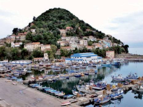 Un port de pêche sans poissonnerie