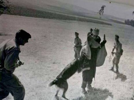 des photos inédites sur la guerre de Libération nationale                                    Média Club de la maison de la presse Tahar Djaout à Alger