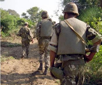 L'expérience algérienne au Commonwealth