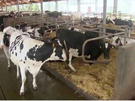 Pour la mise sur pied d'une coopérative