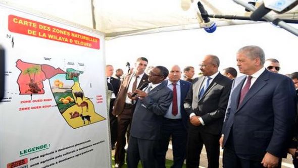 الوزير الأول يطلع على مدى تنفيذ برامج التنمية ويدشن عدة مشاريع بولاية الوادي