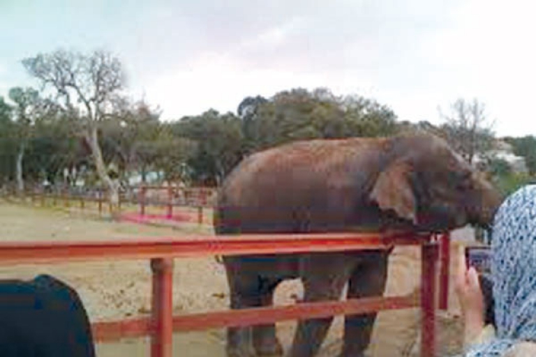 حديقة الحيوانات بجيجل تبرمج نشاطات متنوعة