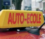 الأمراض تلاحق معلمي السياقة                                    فوضى ولا منظم لها