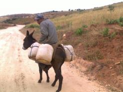 العطش يعصف بسكان الأرياف                                    بفعل عجز السلطات بمستغانم عن التحكم في سرقة المياه واستعمالها في السقي