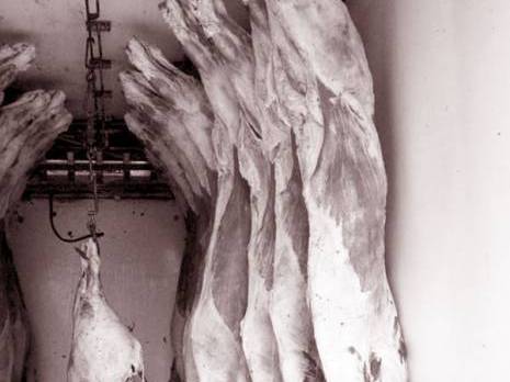 Conséquence de l'appel au boycott : la demande sur la viande a baissé de 30%                                    Alger : les autres articles