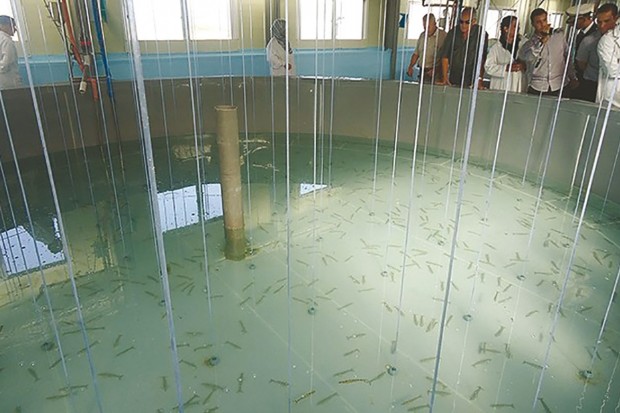 Intégration de l'aquaculture dans les exploitations agricoles