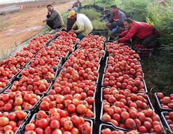 La vérité nous vient du Sud