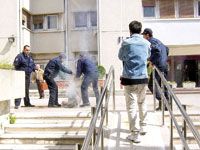 Retour sur les immolés 'rescapés