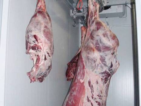 Ramadhan : 1500 tonnes de viande bovine débarquent au port                                    Oran : les autres articles