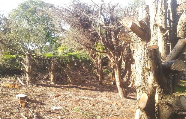 La population monte au créneau