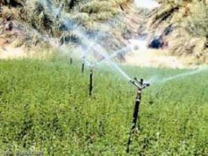 تخصيص حصة 97 مليون م3 من مياه السقي لقطاع الري بغليزان