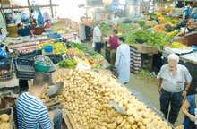 Prix de la pomme de terre / Bientôt à 50 DA /kg ou moins