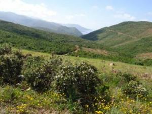 Conflit foncier de Tazeboudjt : Aït Timsiyeth veulent une réunion autour d'une table                                    Bejaia : les autres articles