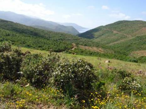 Conflit foncier de Tazeboudjt : Aït Timsiyeth veulent une réunion autour d'une table                                    Bejaia : les autres articles