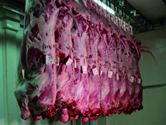 3.000 tonnes commercialisées dans 13 wilayas du pays                                    Mostaganem, ramadhan,viande congelée