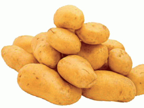 Plus de 25 tonnes écoulées en une demi-journée