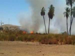 النيران تلتهم عشرات الأمتار من الحشائش اليابسة والقصب بالأغواط