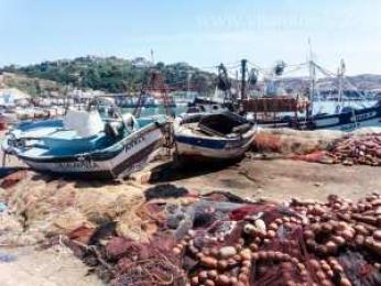 استلام ميناء الصيد لسيدي يوشع بالغزوات في تلمسان نهاية يوليو المقبل